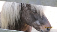 IMG_1237.jpg, 23kB